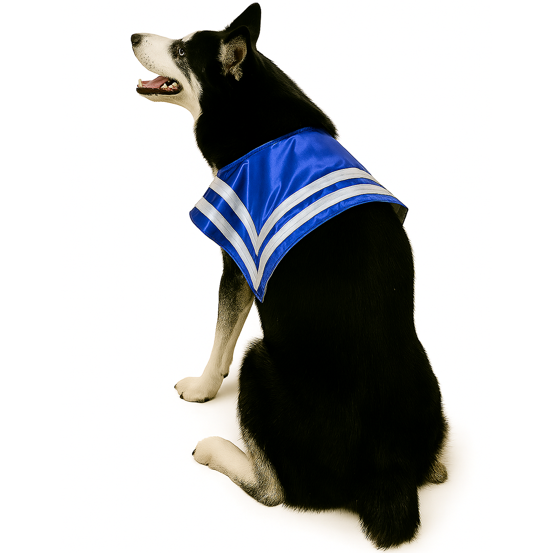 Disfraz marinero perro 5 xl