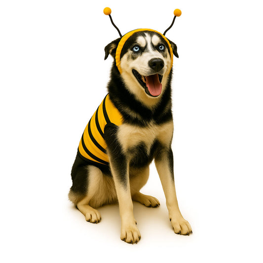 Disfraz abeja para pero 5 xl