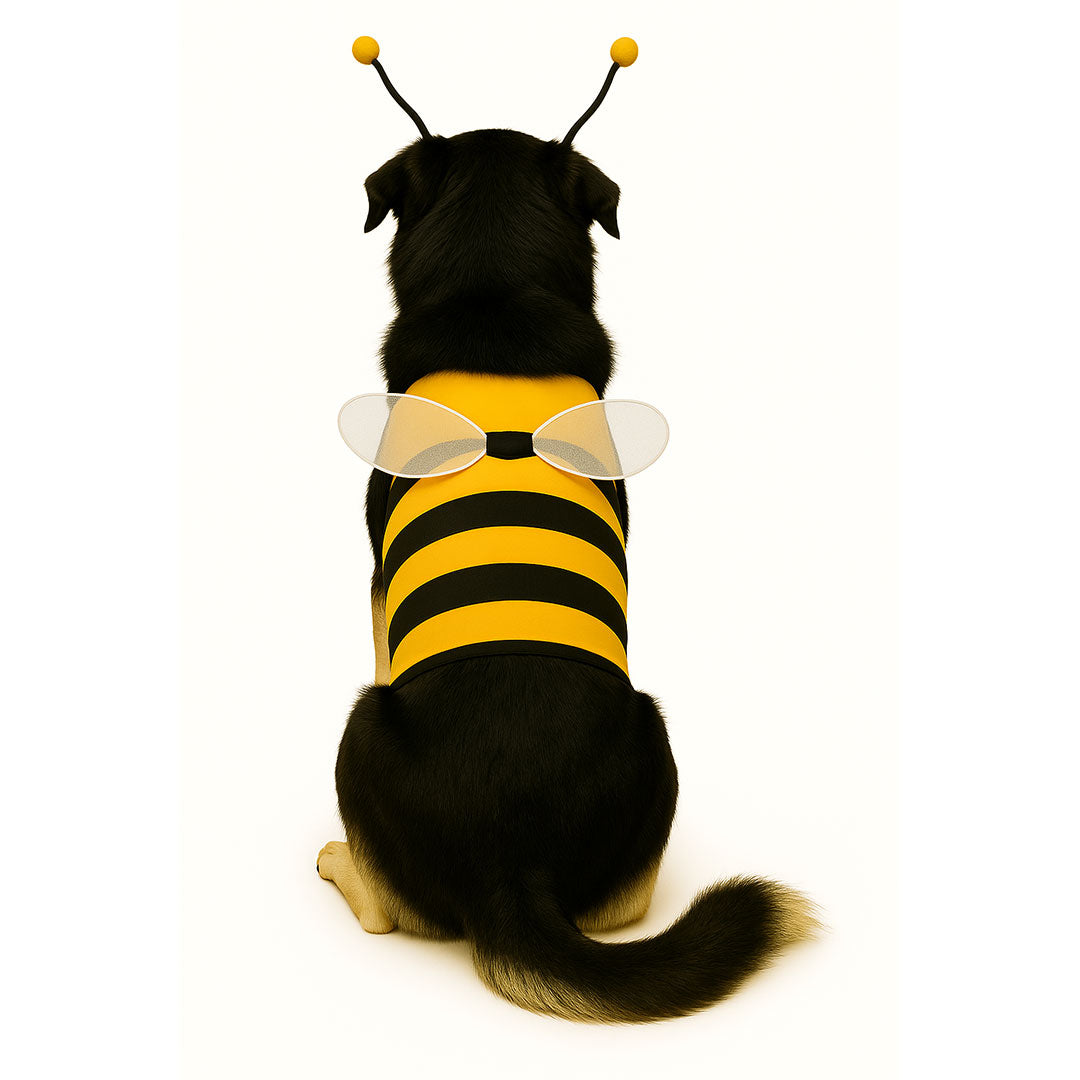 Disfraz abeja para pero 5 xl
