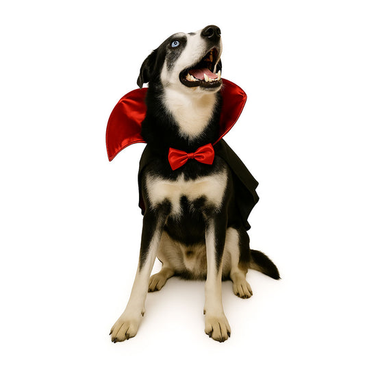 Disfraz drácula para perro 5 xl