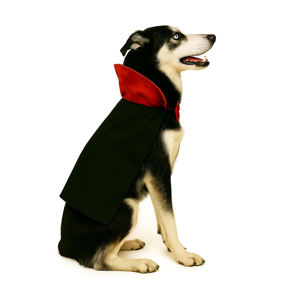 Disfraz drácula para perro 5 xl