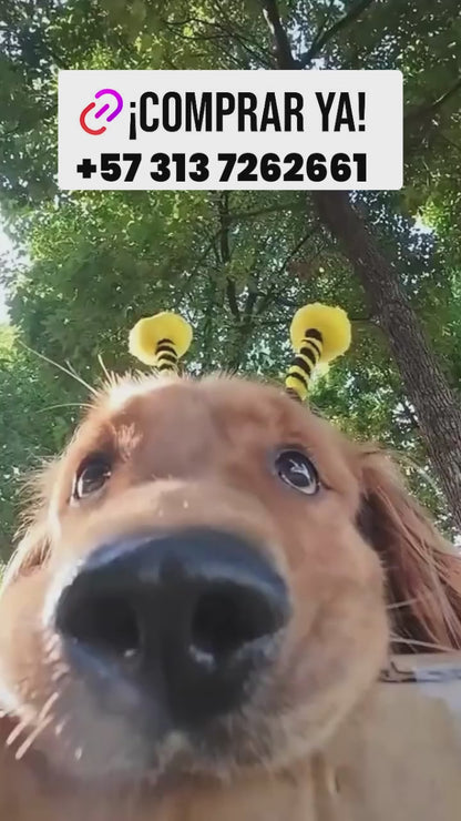 Disfraz abeja para pero 5 xl