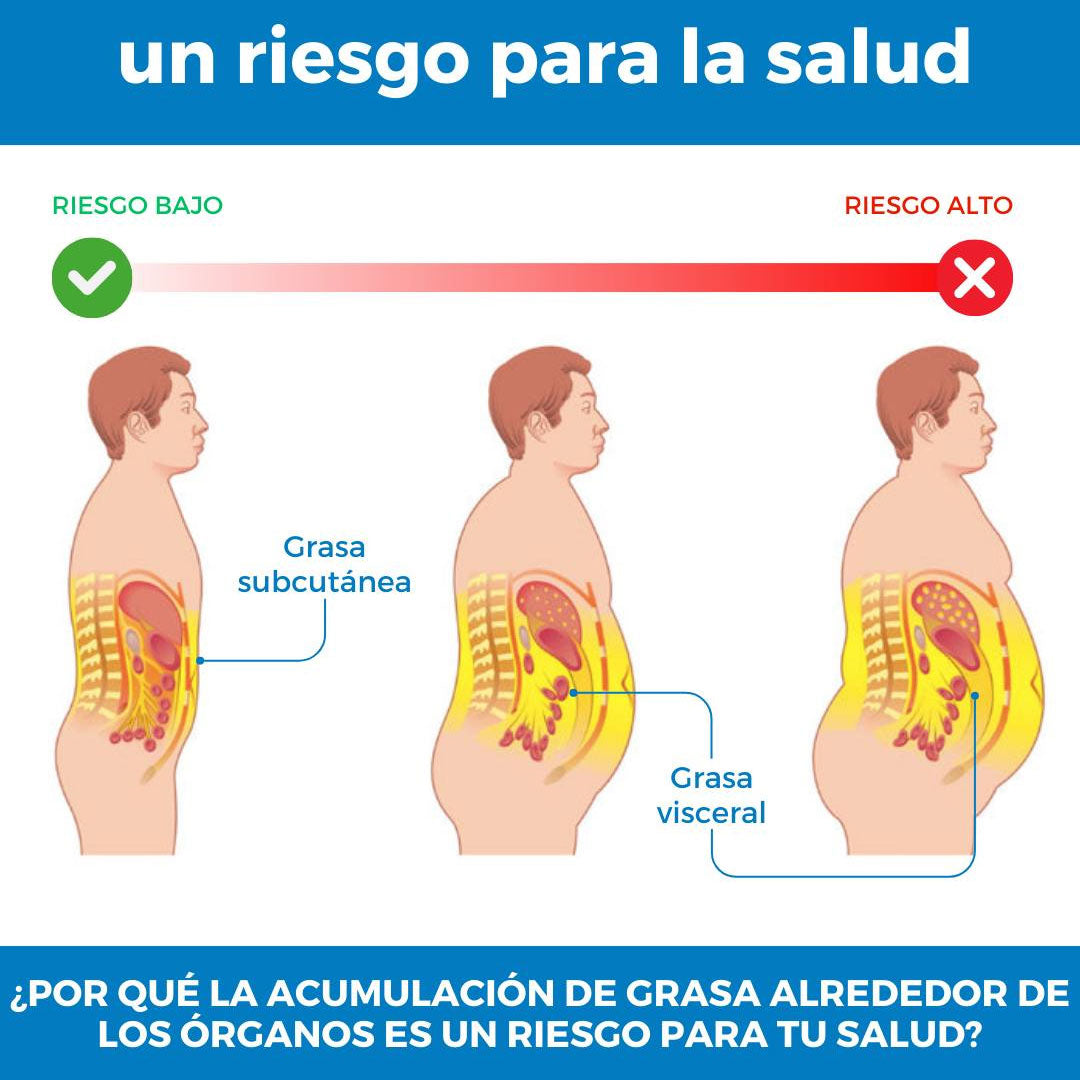 Elimina grasa visceral con Probix de fuxion BPL1